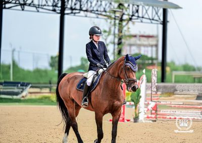 Champion Recognition | Horse Jumping