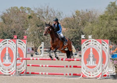 Champion Recognition | Equestrian